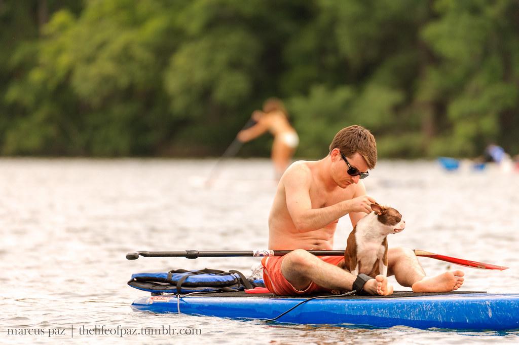Austin Gardeners: 5 Essential July Tasks Beat Summer Heat