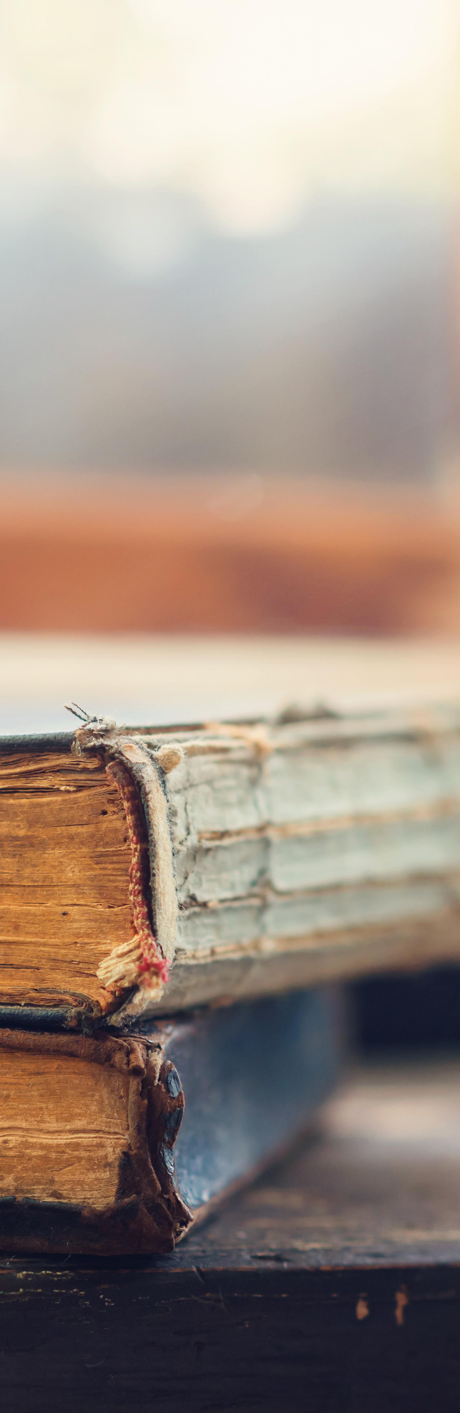 Austin Book Clubs Gather Weekly at Libraries, Monthly at Bookstores