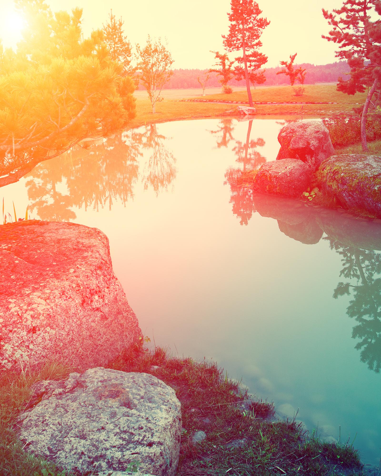 Austin's Brushy Creek MUD Earns A+ Grade, Tops 2025 Suburbs